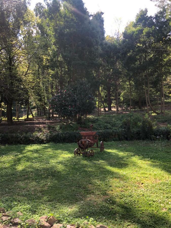 Villa Musolino - Country Resort Мессіна Екстер'єр фото
